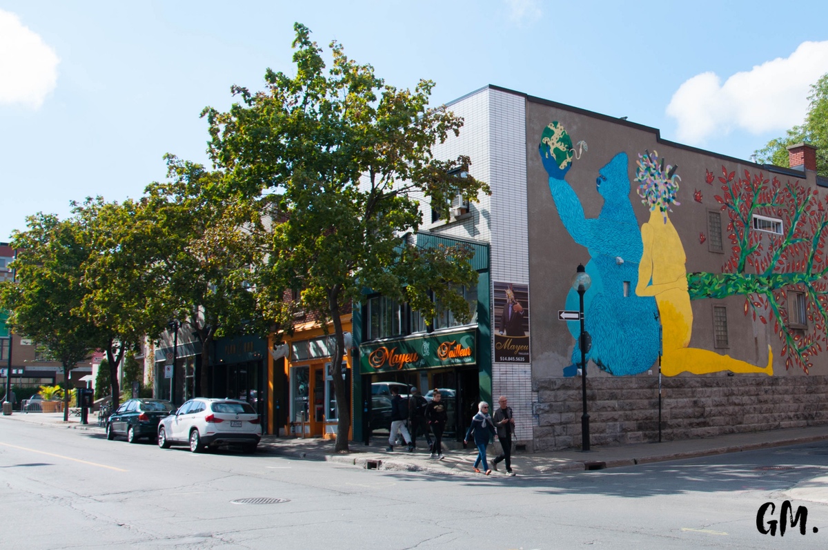 Nos premiers pas à Montréal 9