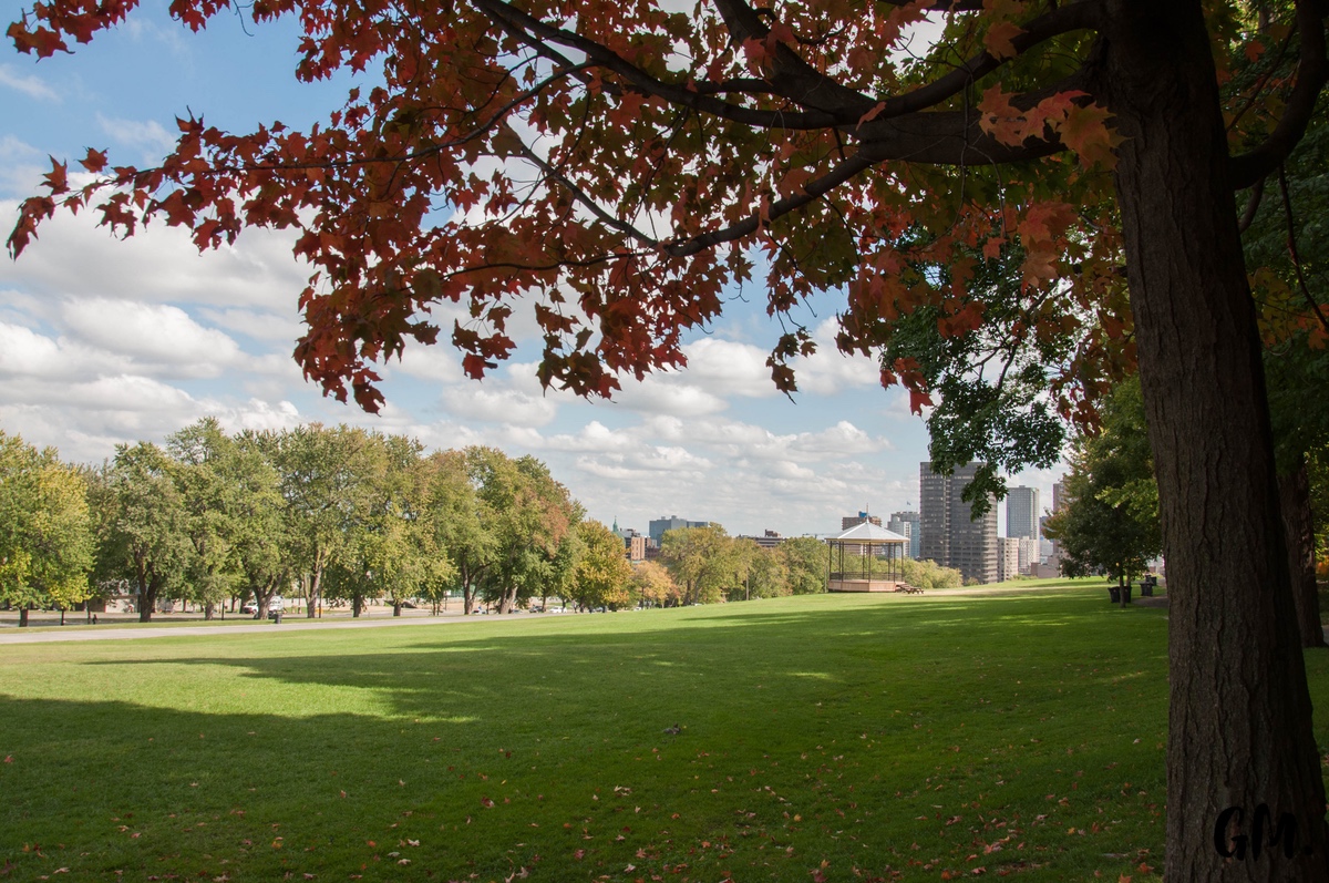 Nos premiers pas à Montréal 5