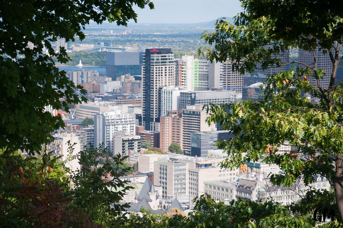 Nos premiers pas à Montréal 4