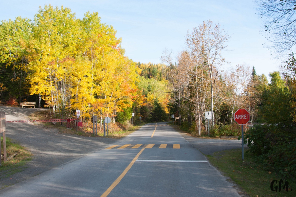[RoadTrip] J8 : Phoques et Poutine d’anniversaire 3