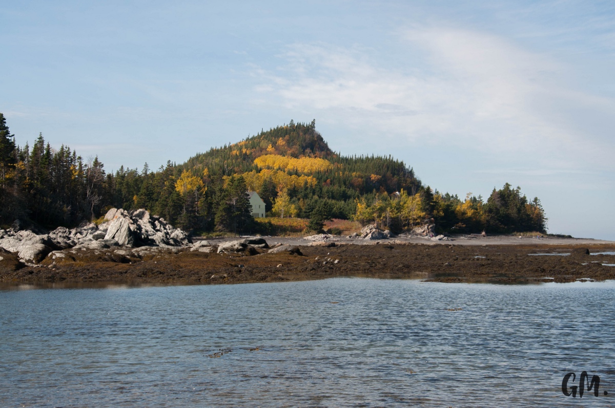 [RoadTrip] J8 : Phoques et Poutine d’anniversaire 14