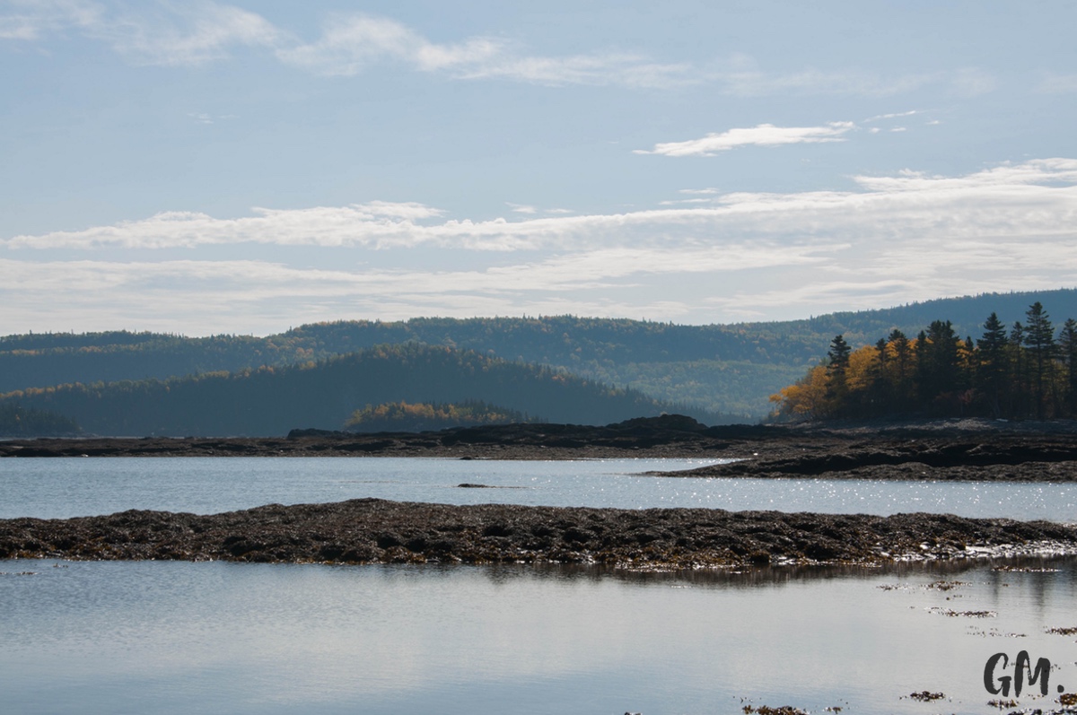[RoadTrip] J8 : Phoques et Poutine d’anniversaire 10