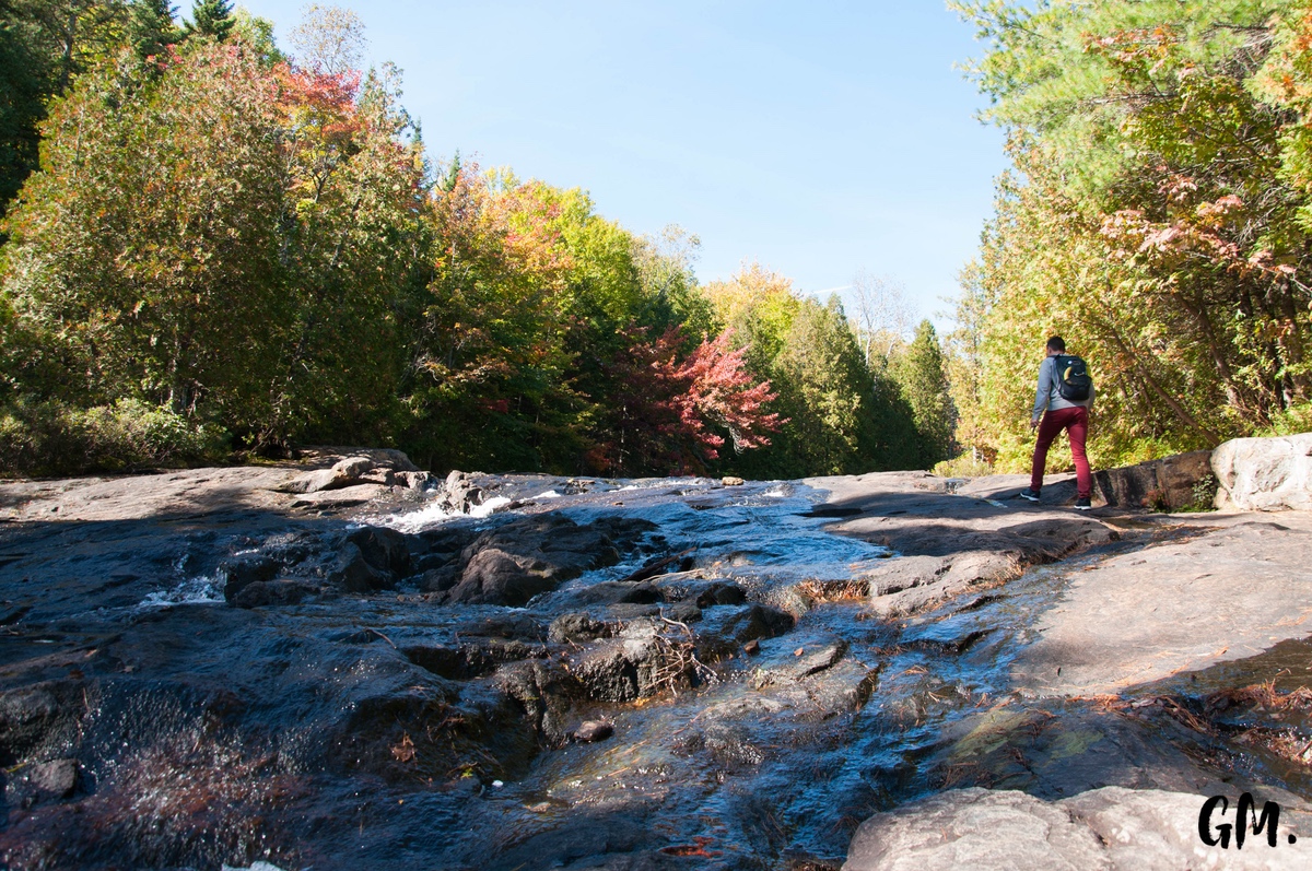 [RoadTrip] J1 : En pleine Nature 4