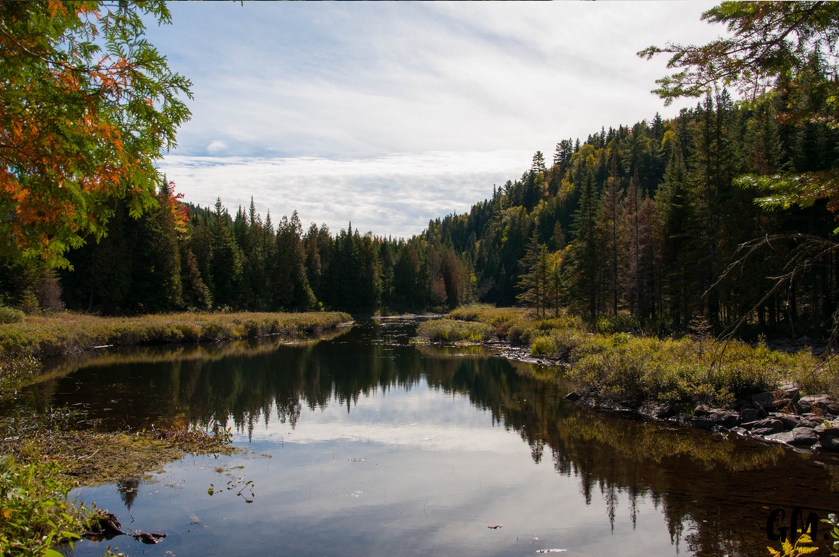 [RoadTrip] J1 : En pleine Nature 6