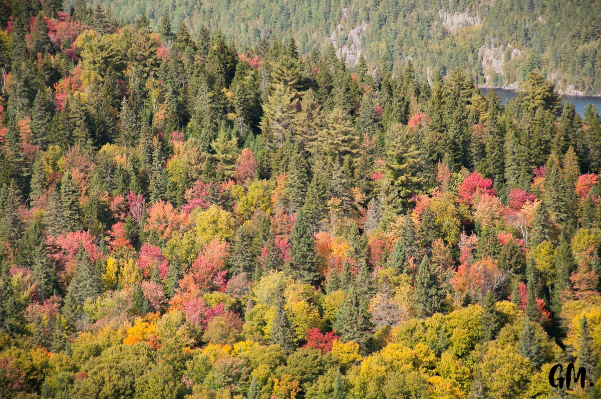 [RoadTrip] J1 : En pleine Nature 14