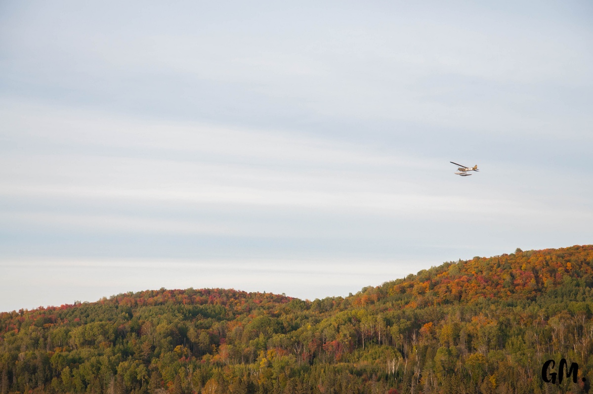 [RoadTrip] J1 : En pleine Nature 16
