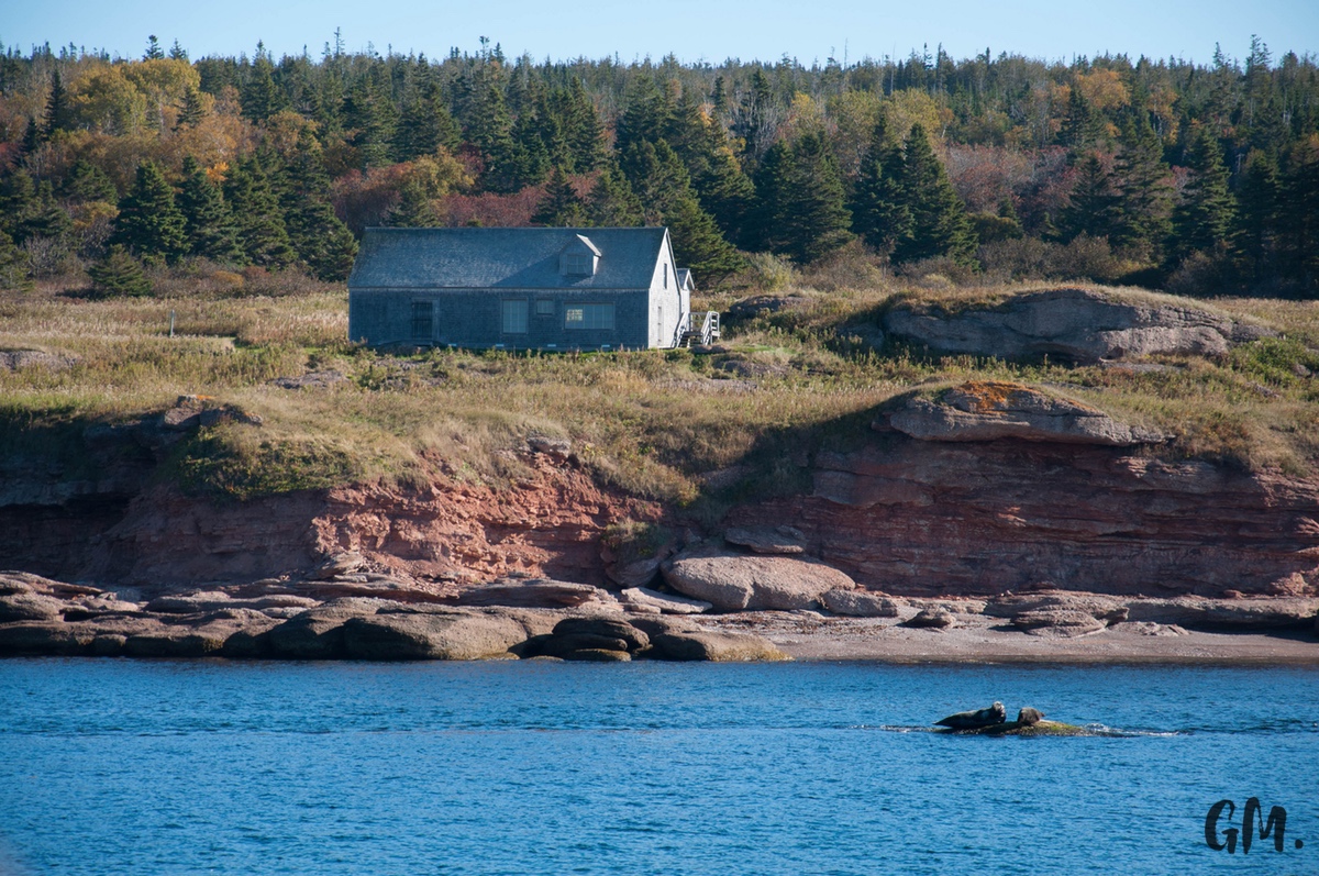 [RoadTrip] J7 : Sur une île avec des fous 15