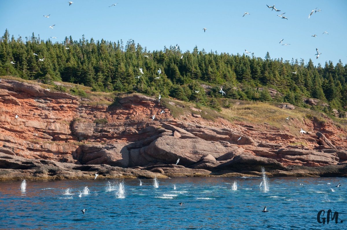 [RoadTrip] J7 : Sur une île avec des fous 19