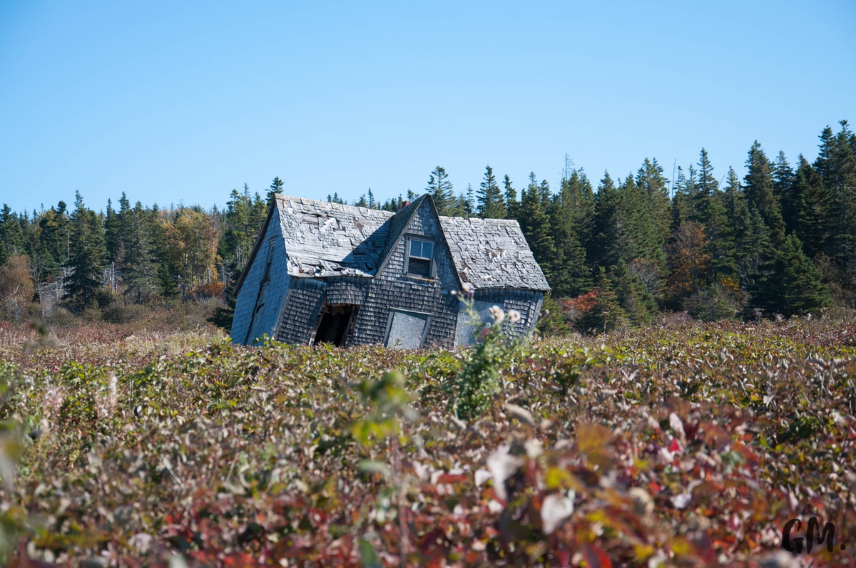 [RoadTrip] J7 : Sur une île avec des fous 21