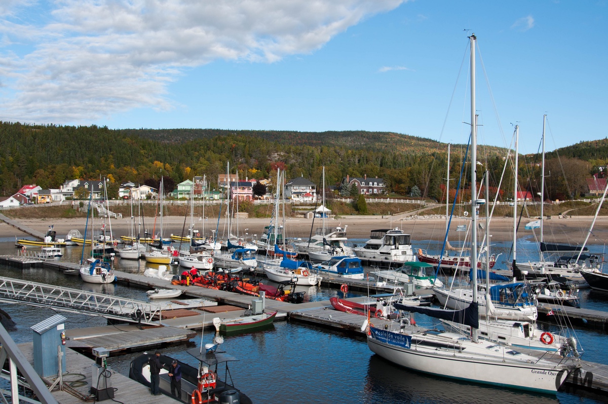 [RoadTrip] J4 : En observation à Tadoussac 3