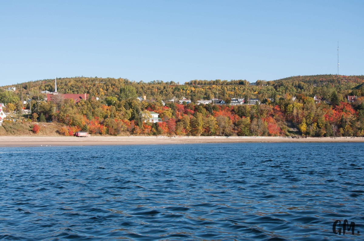 [RoadTrip] J4 : En observation à Tadoussac 8