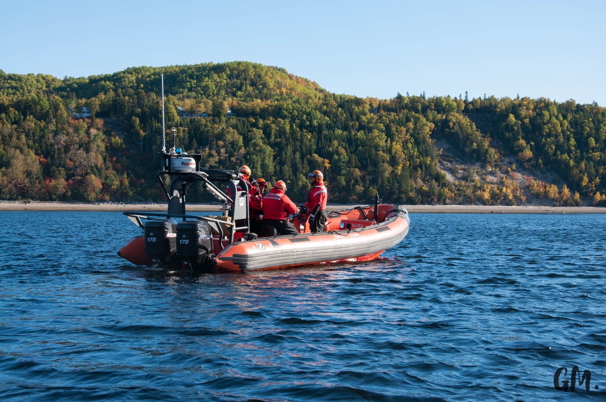 [RoadTrip] J4 : En observation à Tadoussac