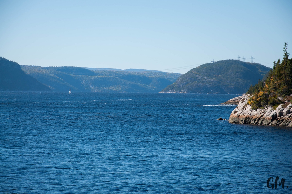 [RoadTrip] J4 : En observation à Tadoussac 12