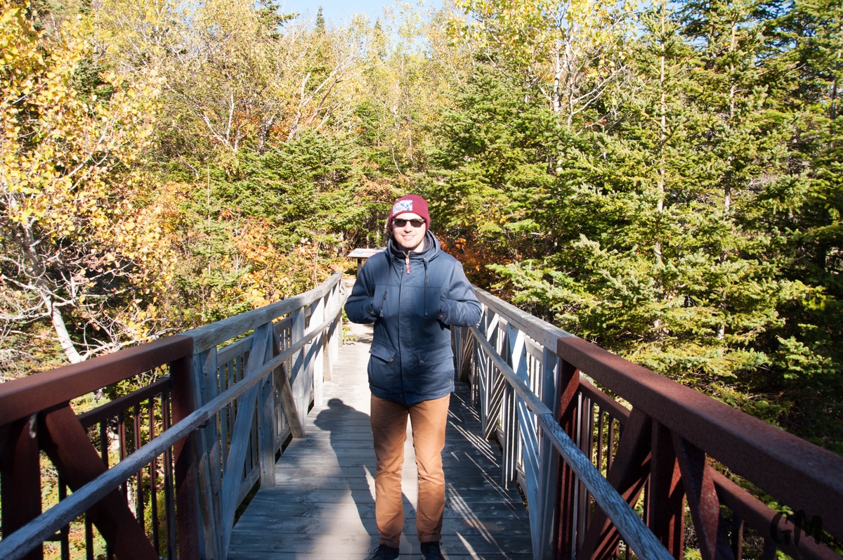 [RoadTrip] J4 : En observation à Tadoussac 1
