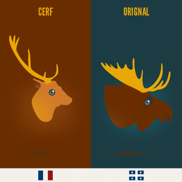 Cerf VS Orignal