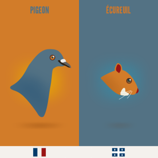 Pigeon VS Écureuil