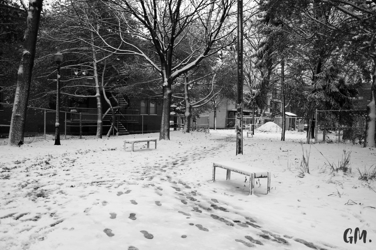 Les premières neiges à Montréal 13