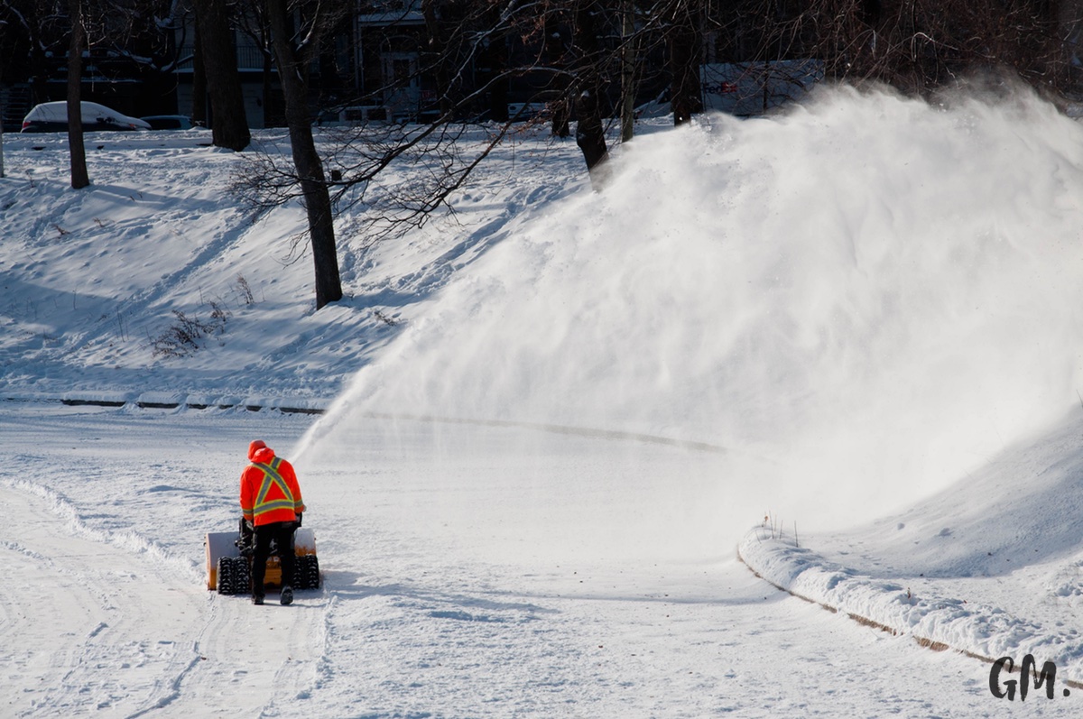 Les premières neiges à Montréal 10