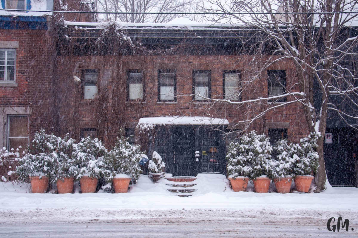 Les premières neiges à Montréal 3