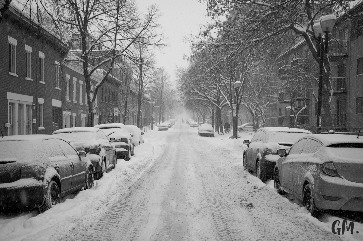 Les premières neiges à Montréal 8