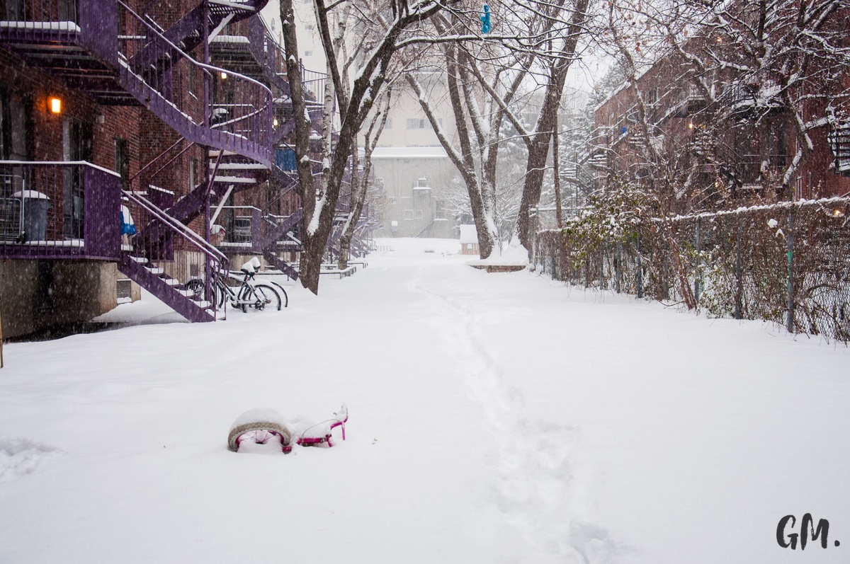 Les premières neiges à Montréal 6