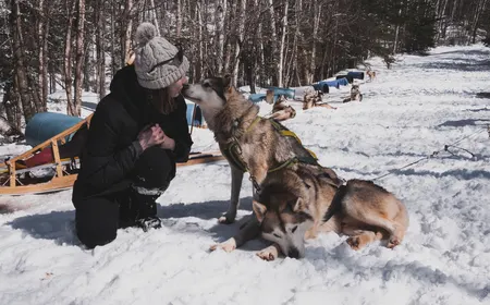 On se transforme en apprenti Musher !
