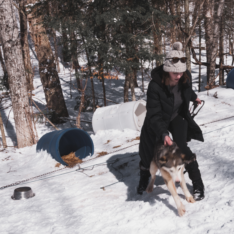 On se transforme en apprenti Musher ! 10