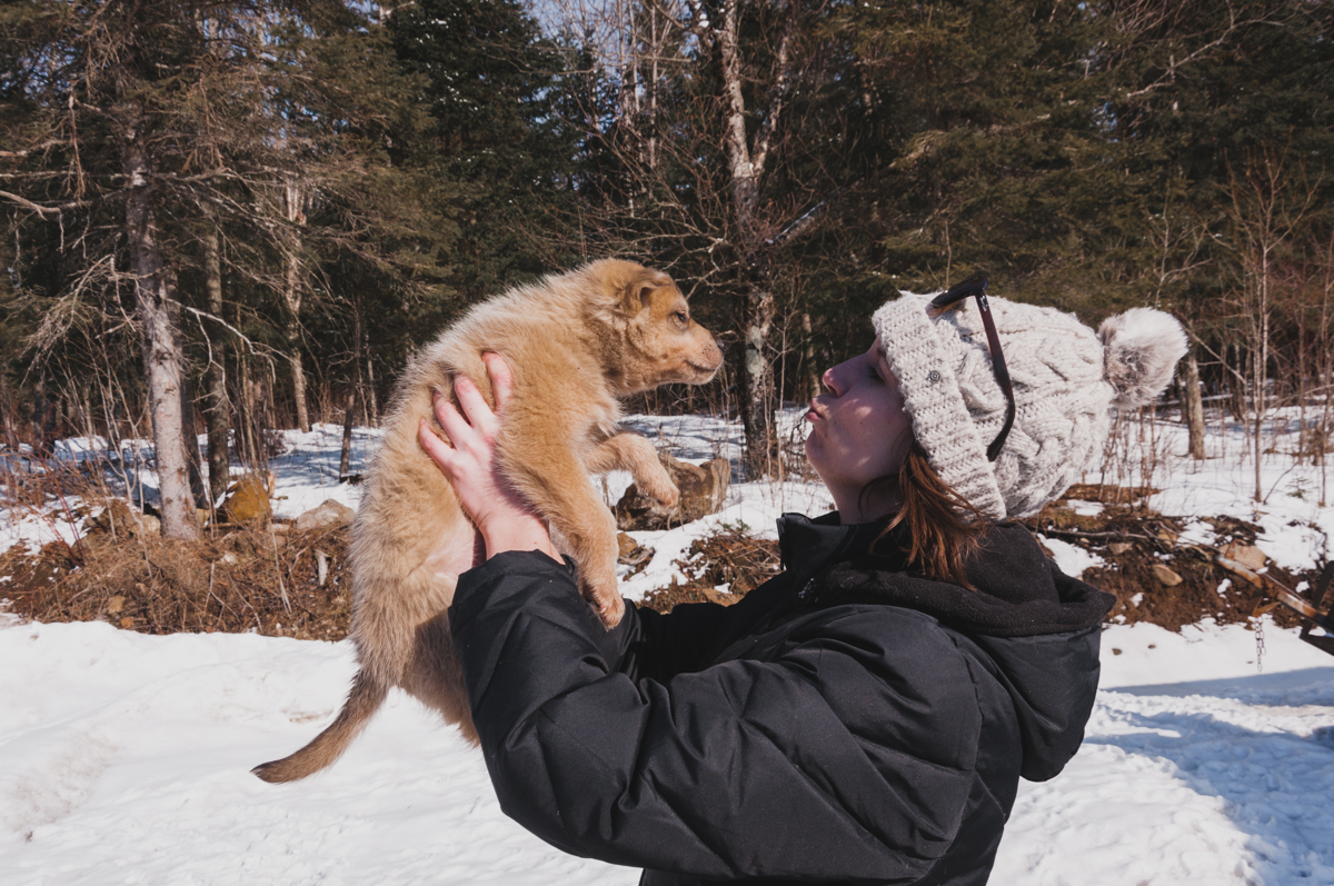On se transforme en apprenti Musher ! 24