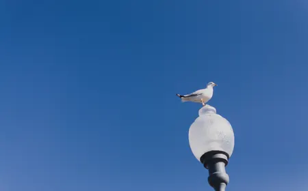 Le temps du printemps