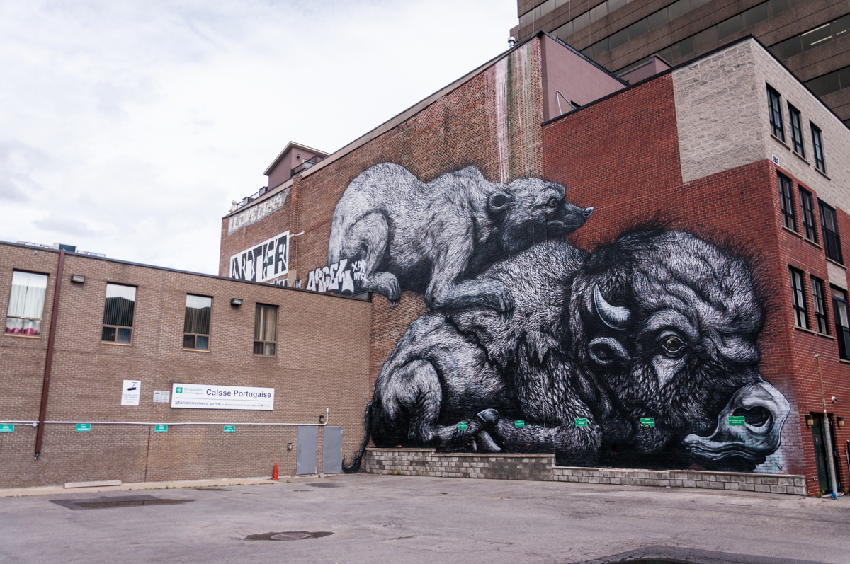 L’art urbain Montréalais 36