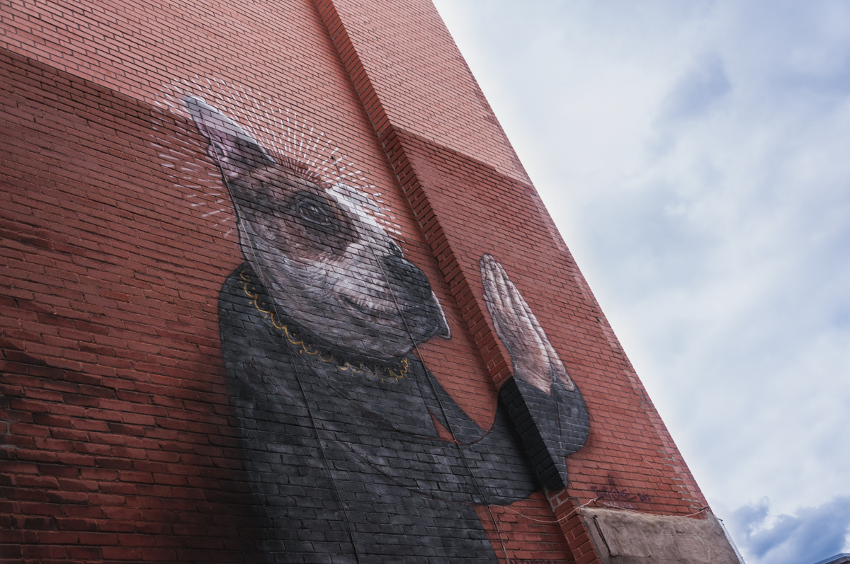 L’art urbain Montréalais 41