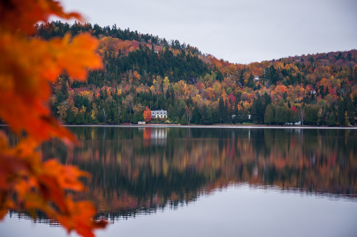 Plus d’un an au Canada 14
