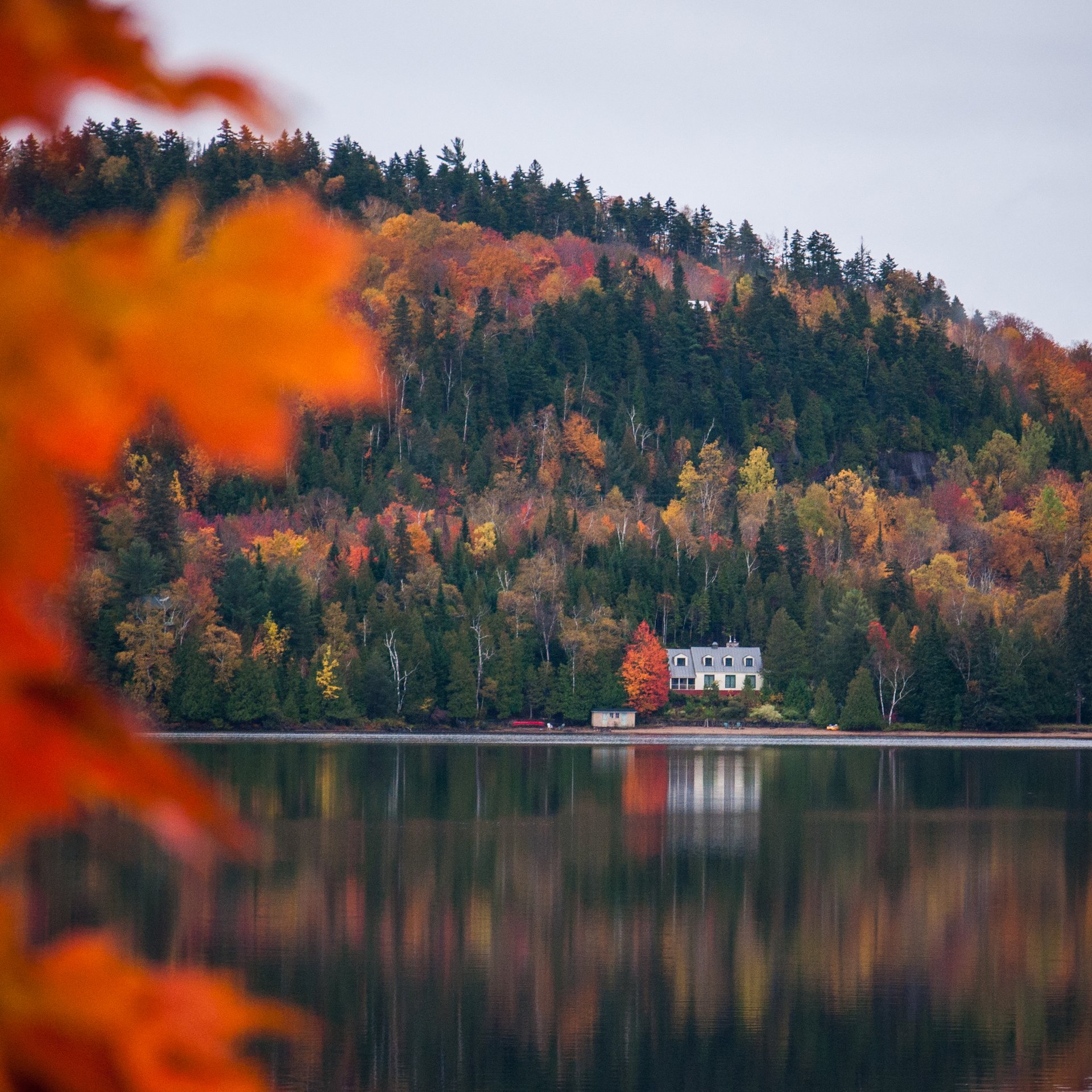 Retrouvailles en couleurs – Québec en famille 1/3 31