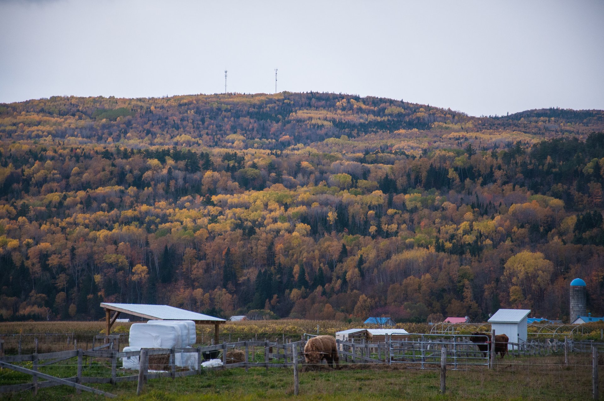 Dans le ciel de Charlevoix – Québec en famille 3/3 42